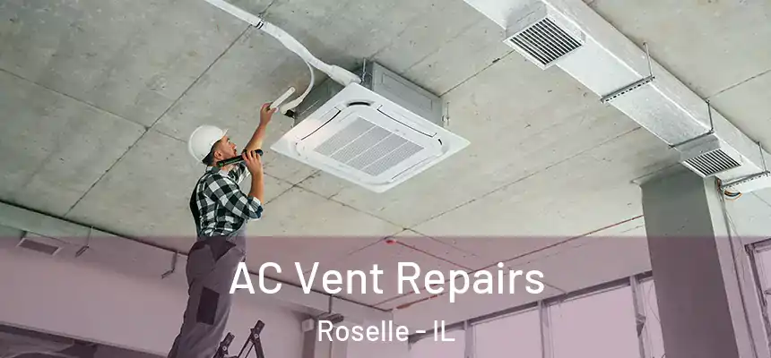  AC Vent Repairs Roselle - IL