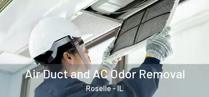  Air Duct and AC Odor Removal Roselle - IL
