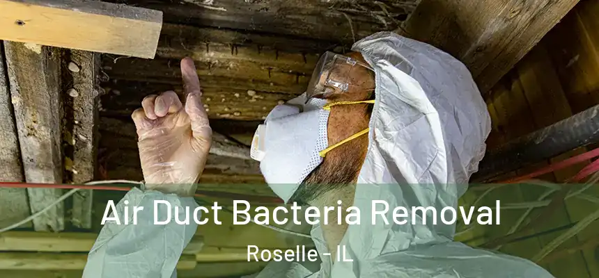Air Duct Bacteria Removal Roselle - IL