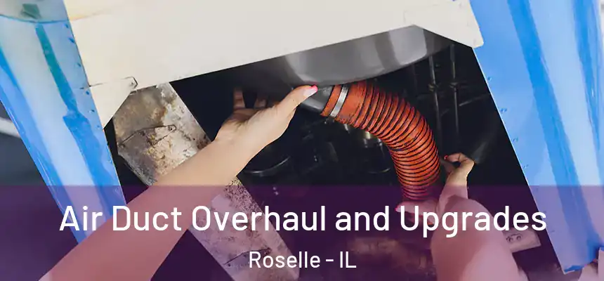  Air Duct Overhaul and Upgrades Roselle - IL