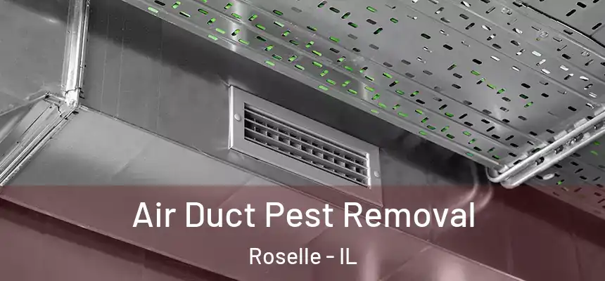  Air Duct Pest Removal Roselle - IL