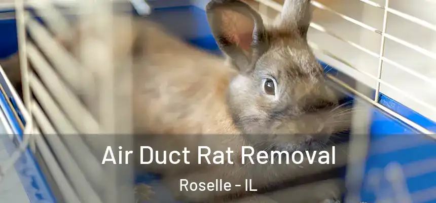  Air Duct Rat Removal Roselle - IL