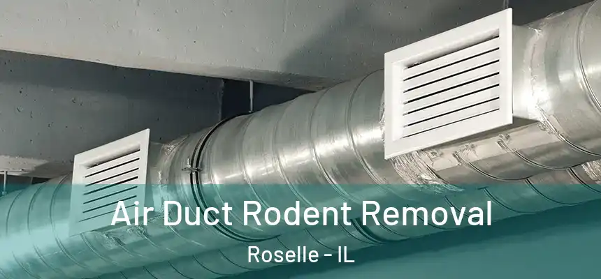  Air Duct Rodent Removal Roselle - IL