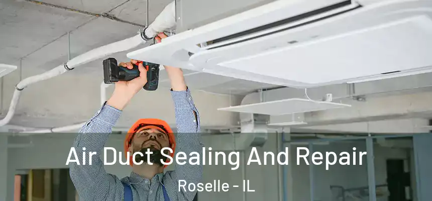 Air Duct Sealing And Repair Roselle - IL