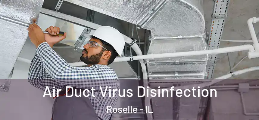 Air Duct Virus Disinfection Roselle - IL