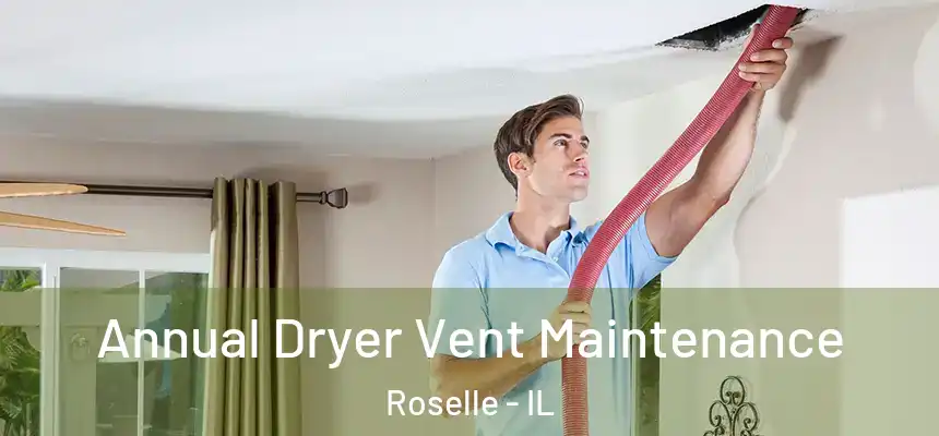  Annual Dryer Vent Maintenance Roselle - IL