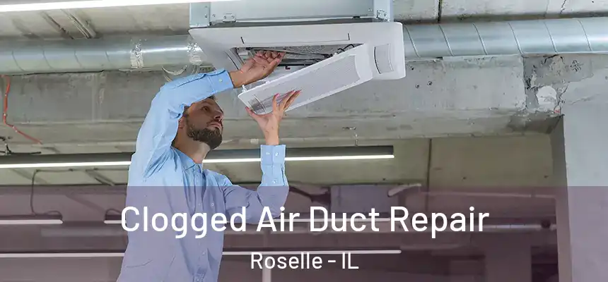 Clogged Air Duct Repair Roselle - IL