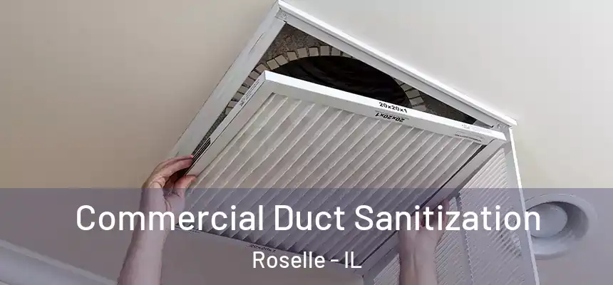  Commercial Duct Sanitization Roselle - IL
