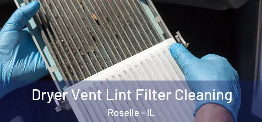 Dryer Vent Lint Filter Cleaning Roselle - IL