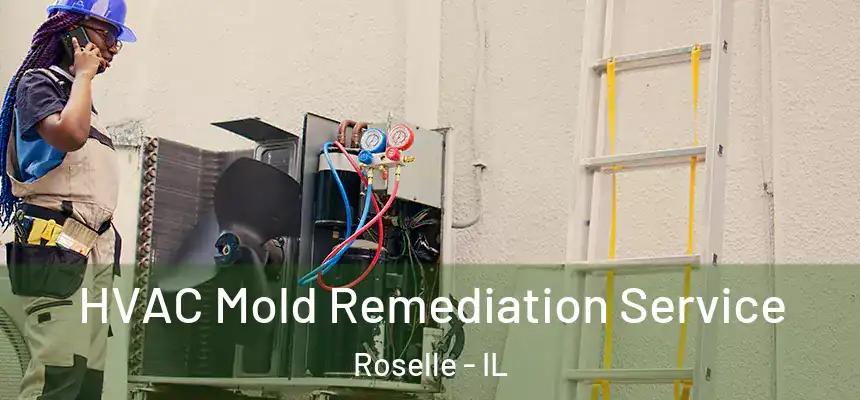 HVAC Mold Remediation Service Roselle - IL