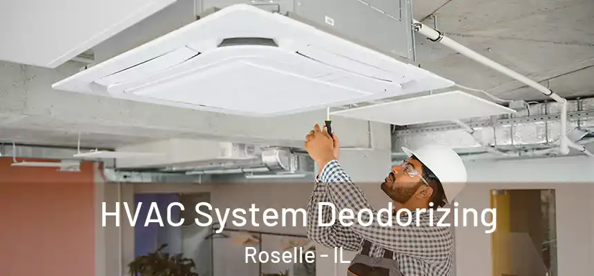  HVAC System Deodorizing Roselle - IL