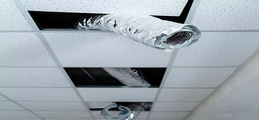 Our Air Duct Pet Hair Removal Services in Roselle, IL