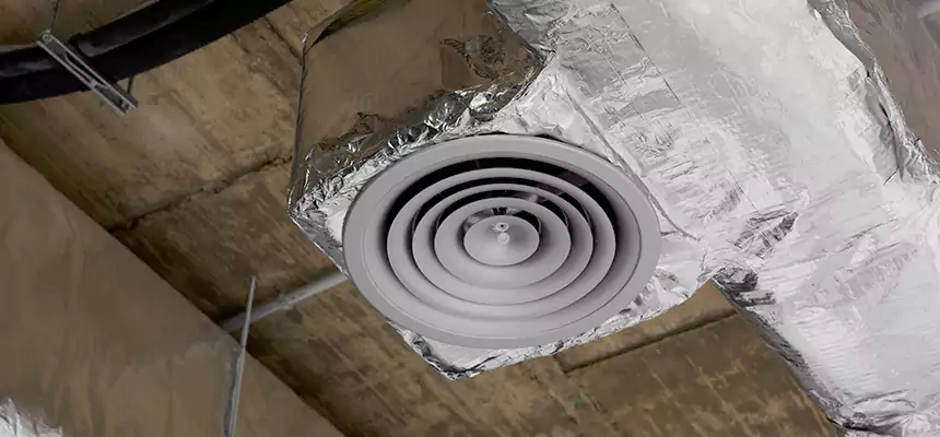 Our Excess Lint Removal from Dryer Ducts Services in Roselle, IL