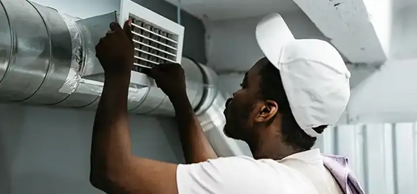 Our Licensed And Insured Cleaners in Roselle, IL