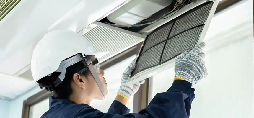 Our Lint Trap Cleaning Service Services in Roselle, IL