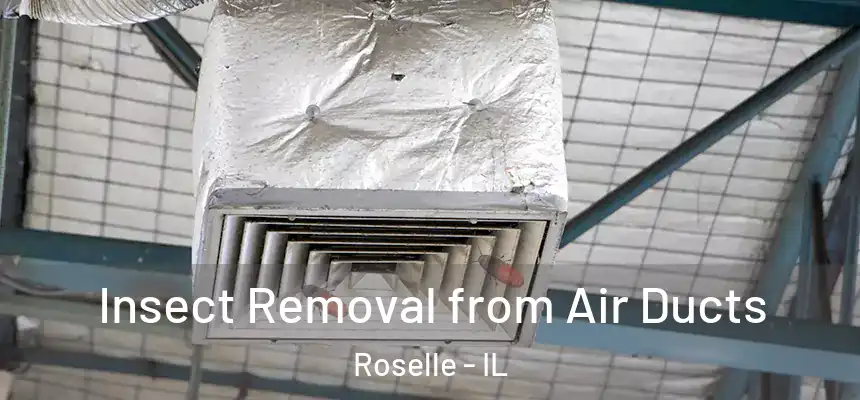 Insect Removal from Air Ducts Roselle - IL