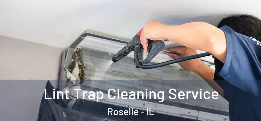  Lint Trap Cleaning Service Roselle - IL