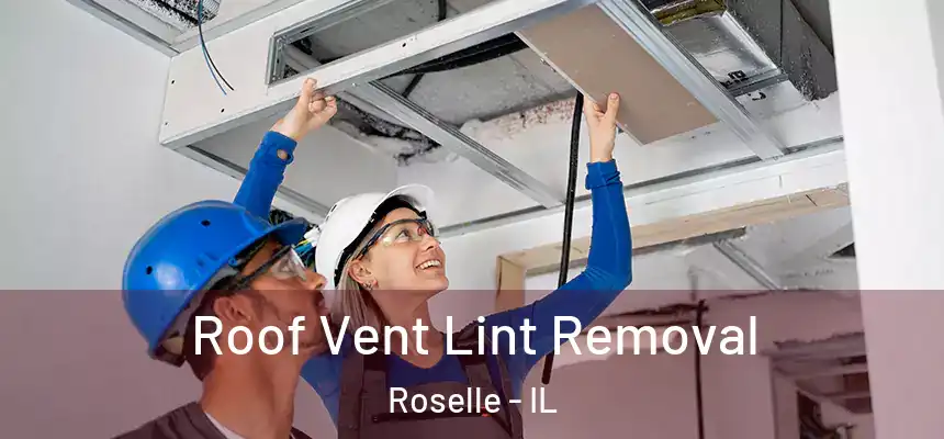 Roof Vent Lint Removal Roselle - IL