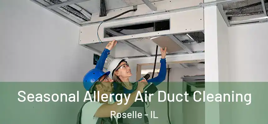  Seasonal Allergy Air Duct Cleaning Roselle - IL