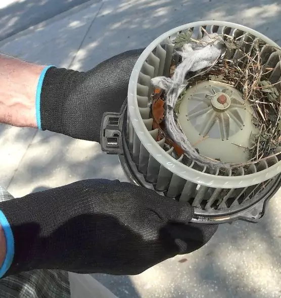 About Air Duct Rat Removal in Roselle, IL