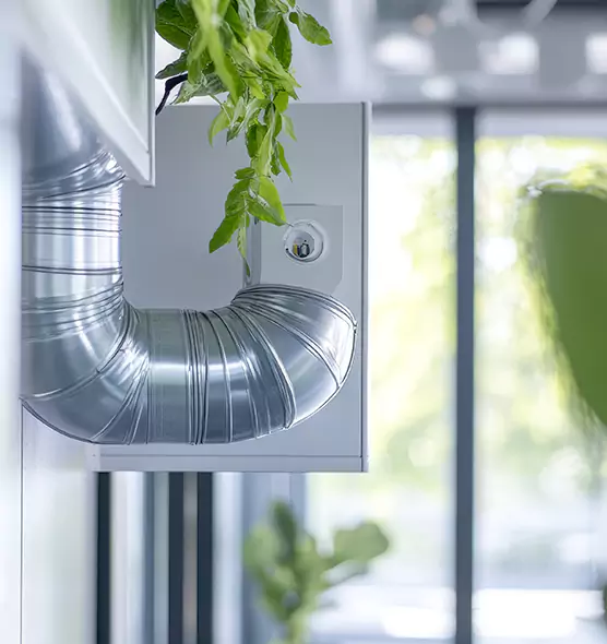 Professional Eco-Friendly Duct Cleaning Services in Roselle, IL