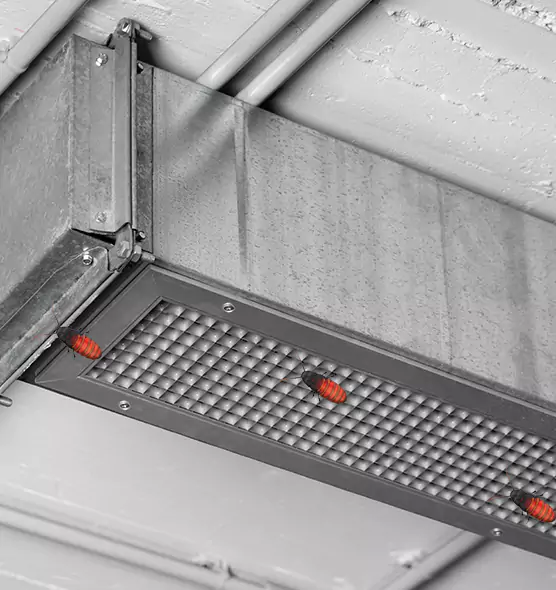 Affordable Insect Removal from Air Ducts in Roselle, IL