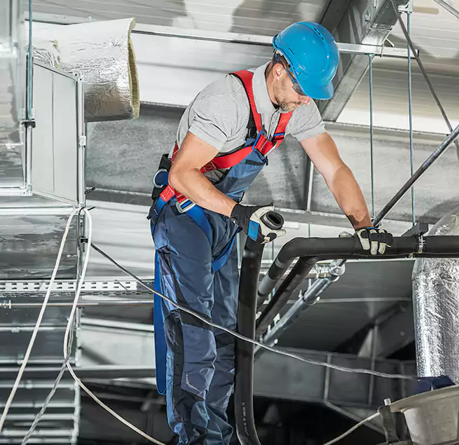 Why Homeowners & Businesses Trust Us in Roselle, IL?