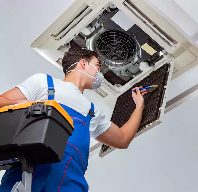 Why Homeowners & Businesses Trust Us in Roselle, IL