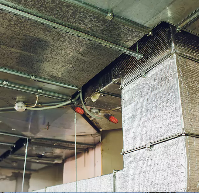 Why Homeowners & Businesses Trust Us Roselle, IL?