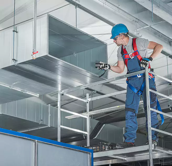 Why Homeowners & Businesses Trust Us in Roselle, IL?