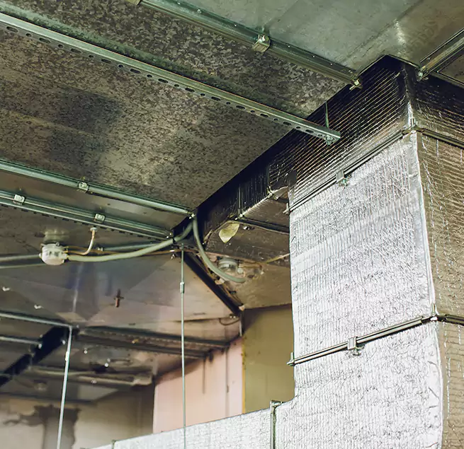 Why Homeowners & Businesses Trust Us in Roselle, IL?