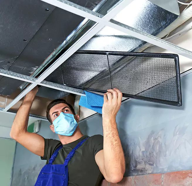 Why Homeowners & Businesses Trust Us in Roselle, IL?