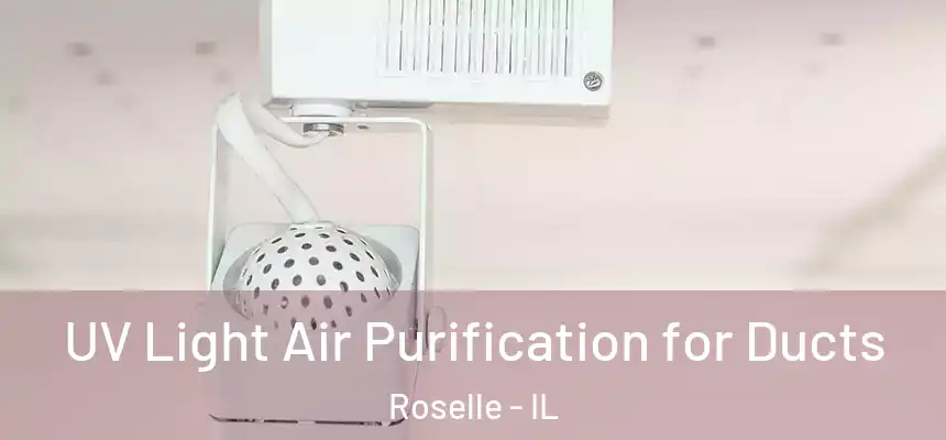  UV Light Air Purification for Ducts Roselle - IL