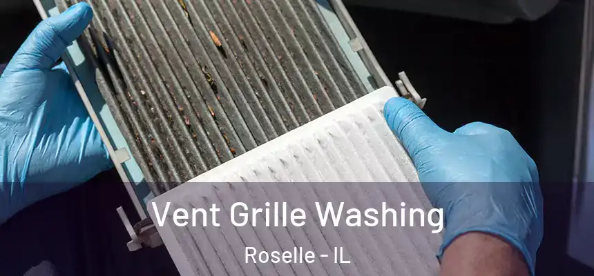 Vent Grille Washing Roselle - IL
